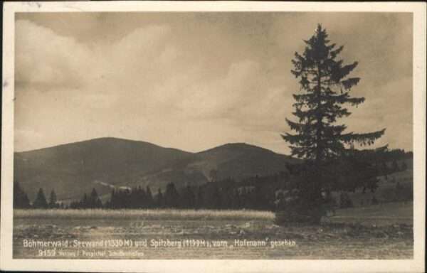 Spitzberg Boehmerwald Seewand