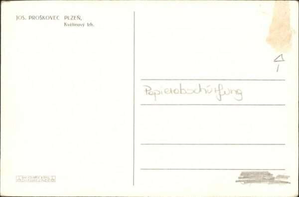 Plzen Pilsen – Bild 2