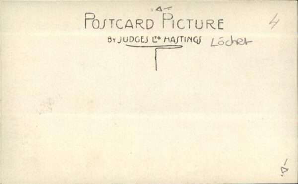 Appleford R. Thames Kühe See – Bild 2