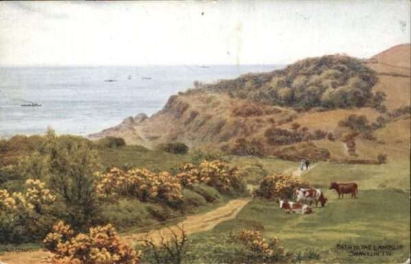 Shanklin Path to the Lanoslip Kühe