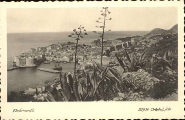 Dubrovnik Ragusa Original Foto
