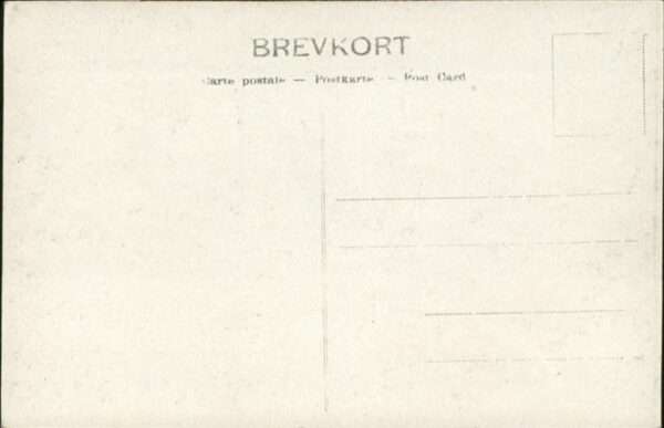 Nordfjord Oldenvandet Kühe – Bild 2