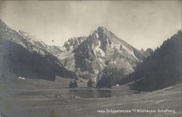 Schafberg Wildhaus Gräppelensee