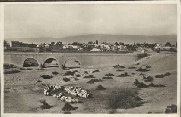 Jericho Palaestina Schaafe Brücke