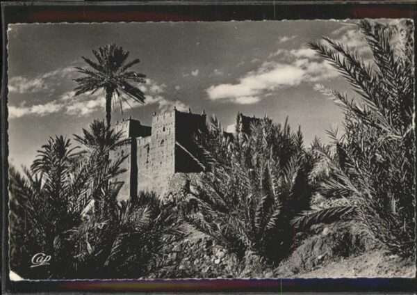 Typen Une Casbah de la Vallee du Draá Palmen