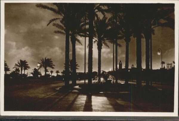 Tripoli Libyen Brunnen bei Nacht Palmen