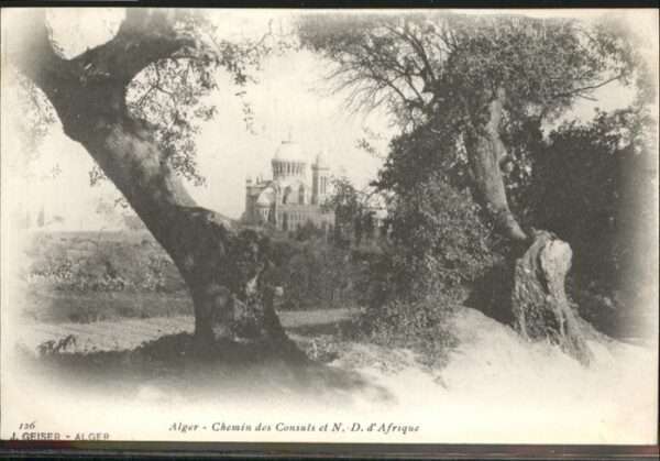 Alger Algerien Chemin des Consuls et N. D. d&# Afrique