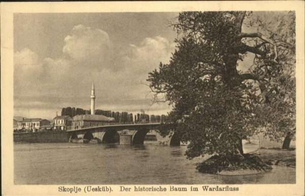 Skopje Skoplje Uesküb der historsiche Baum im Wardarfl