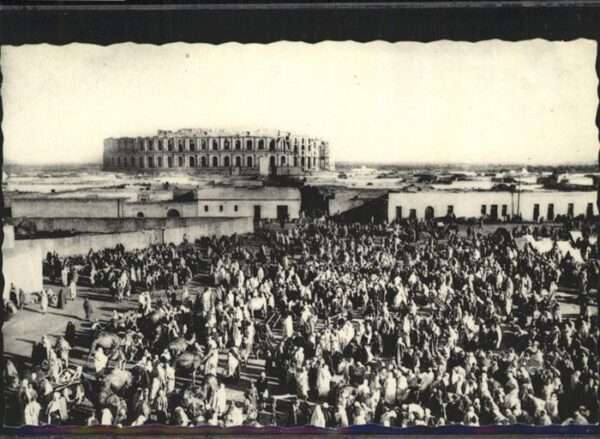 El-Djem Le marce aux Chameaux Kamelmarkt