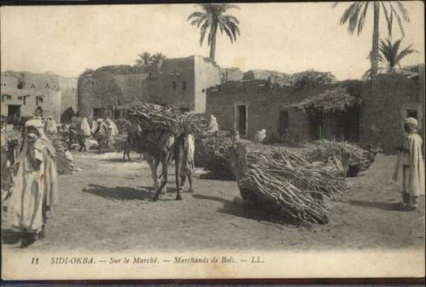 Sidi Okba Sur le Marche Marchands de Bois Holz Ka