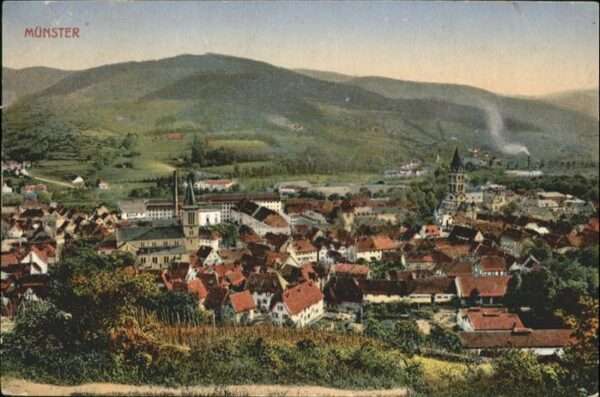 Munster Haut Rhin Elsass Vue generale