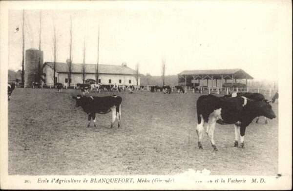 Blanquefort Gironde Ecole Agriculture