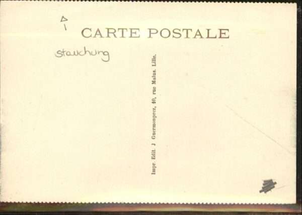 Carvin Gare – Bild 2