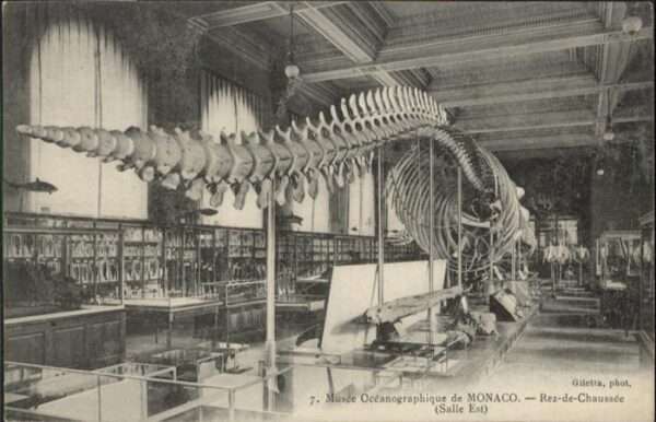 Monaco Musee Oceanographique
