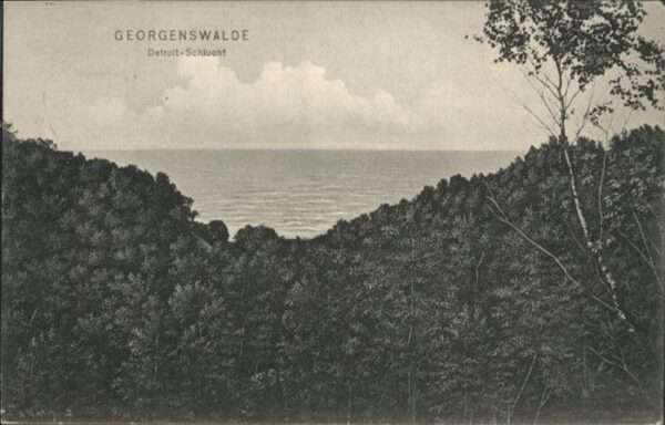 Georgenswalde Otradnoje Detroit-Schlucht
