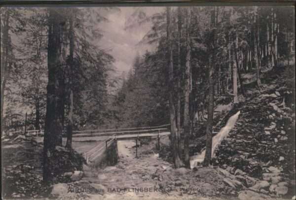 Bad Flinsberg Swieradow Zdroj Wald