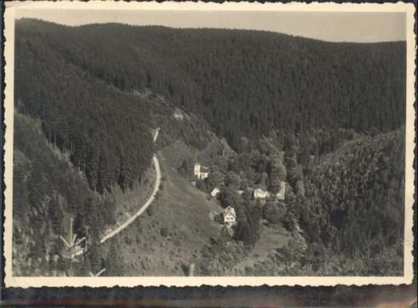 Bad Reinerz