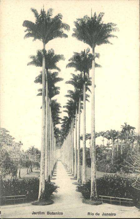 Rio de Janeiro Jardim Botanico