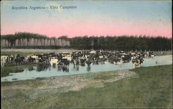 Vista Campestre Kühe