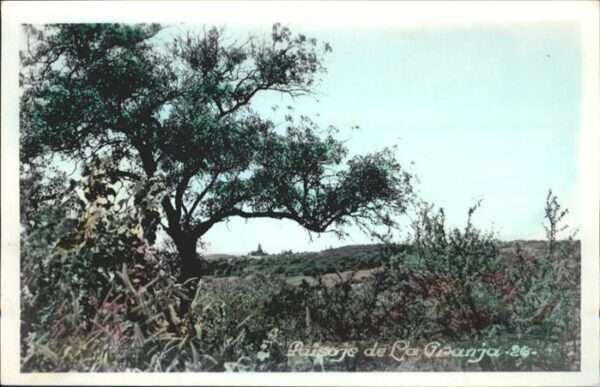Paisaje
