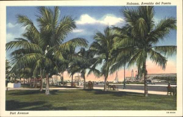 Habana Havana Port Avenue