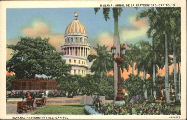 Habana Havana Fraternity Tree Capitol