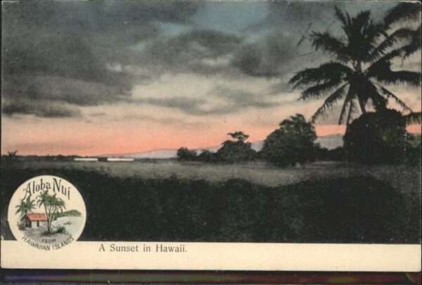 Alaha Nui