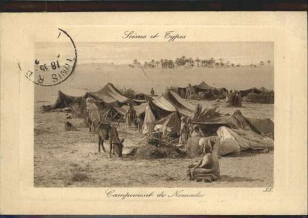 Tunesien Campement Nomades Esel