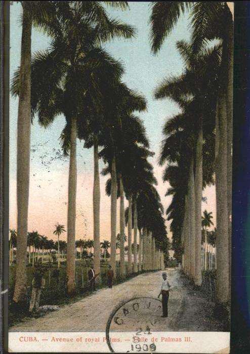 Cuba Cuba Avenue royal Palms
