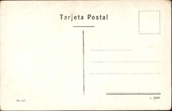 Buenos Aires Calle Florida Kutsche – Bild 2