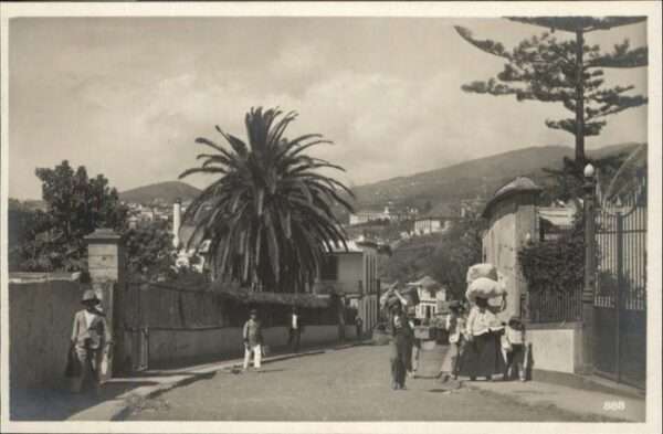 Madeira Portugal Funchal
