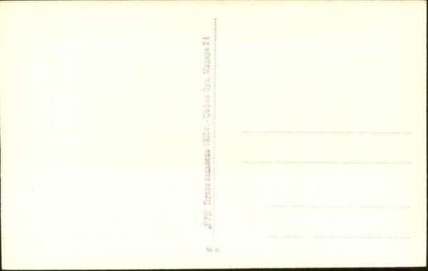 Sofia Sophia – Bild 2