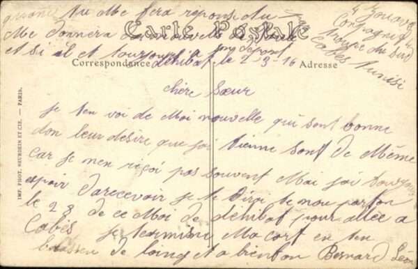Tatahouine Palmiers – Bild 2