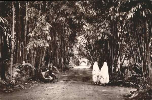 Alger Algerien