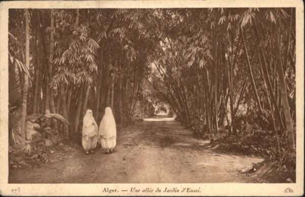 Alger Algerien Jardin Essai