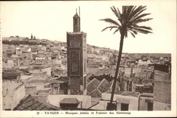 Tanger Tangier Tangiers Mosquee Jedida Palmier Aissaouas