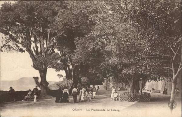 Oran Algerie Promenade Letang