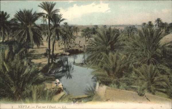 Nefta Sur l'Oued