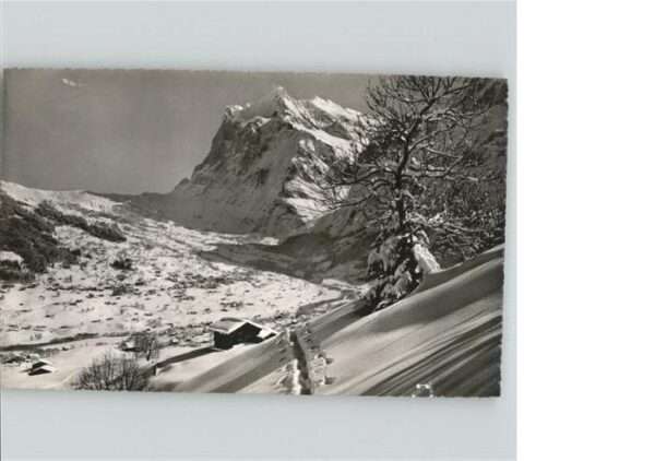 Grindelwald Wetterhorn
