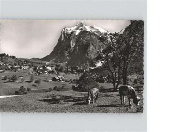 Grindelwald Wetterhorn