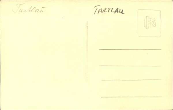 Tartlau – Bild 2