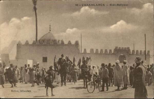 Casablanca Sidi Belyout Pferd