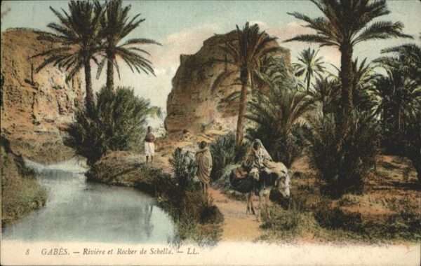 Gabes River Schella Pferd