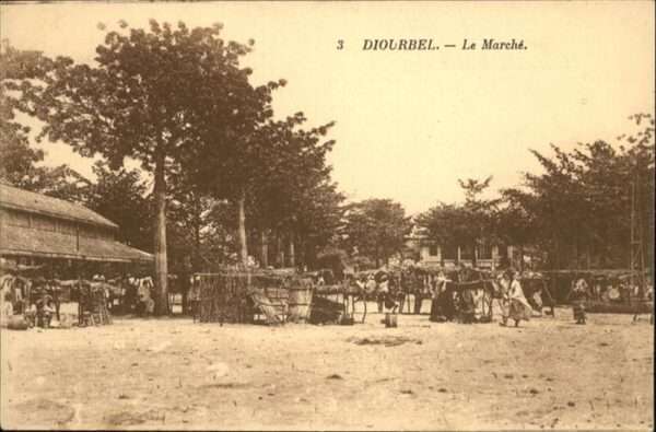 Diourbel Marche