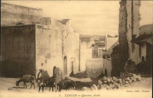 Tanger Tangier Tangiers Esel