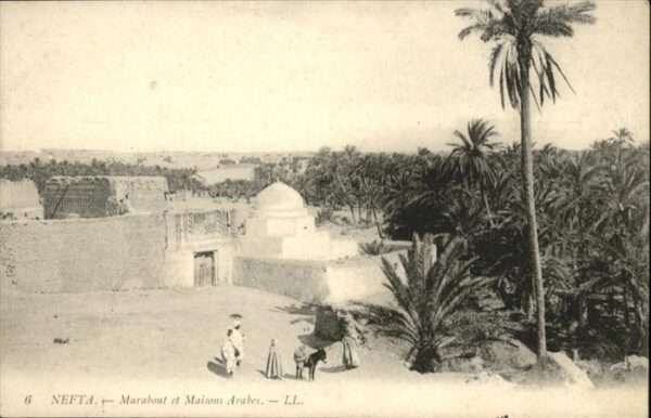 Nefta
