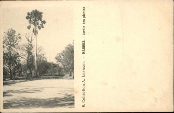 Majunga