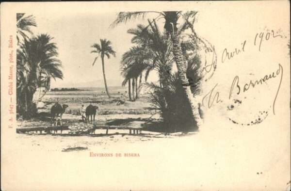 Biskra Kamel