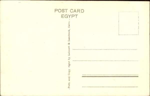 Cairo Egypt Mosque Sultan Kalaoun Esel – Bild 2
