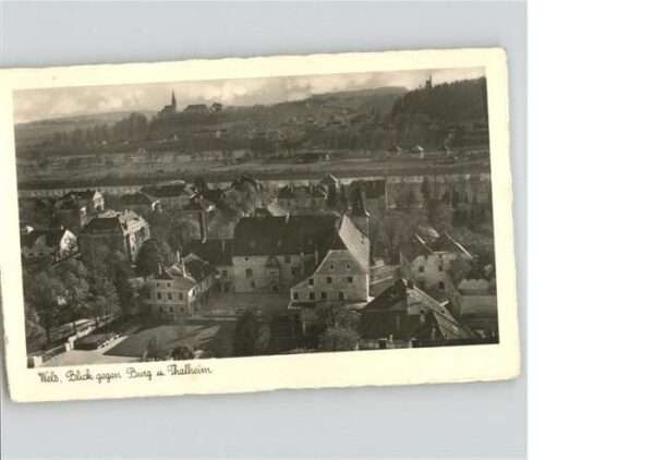 Wels Burg Thalheim